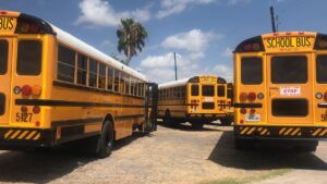 bus, school, school bus